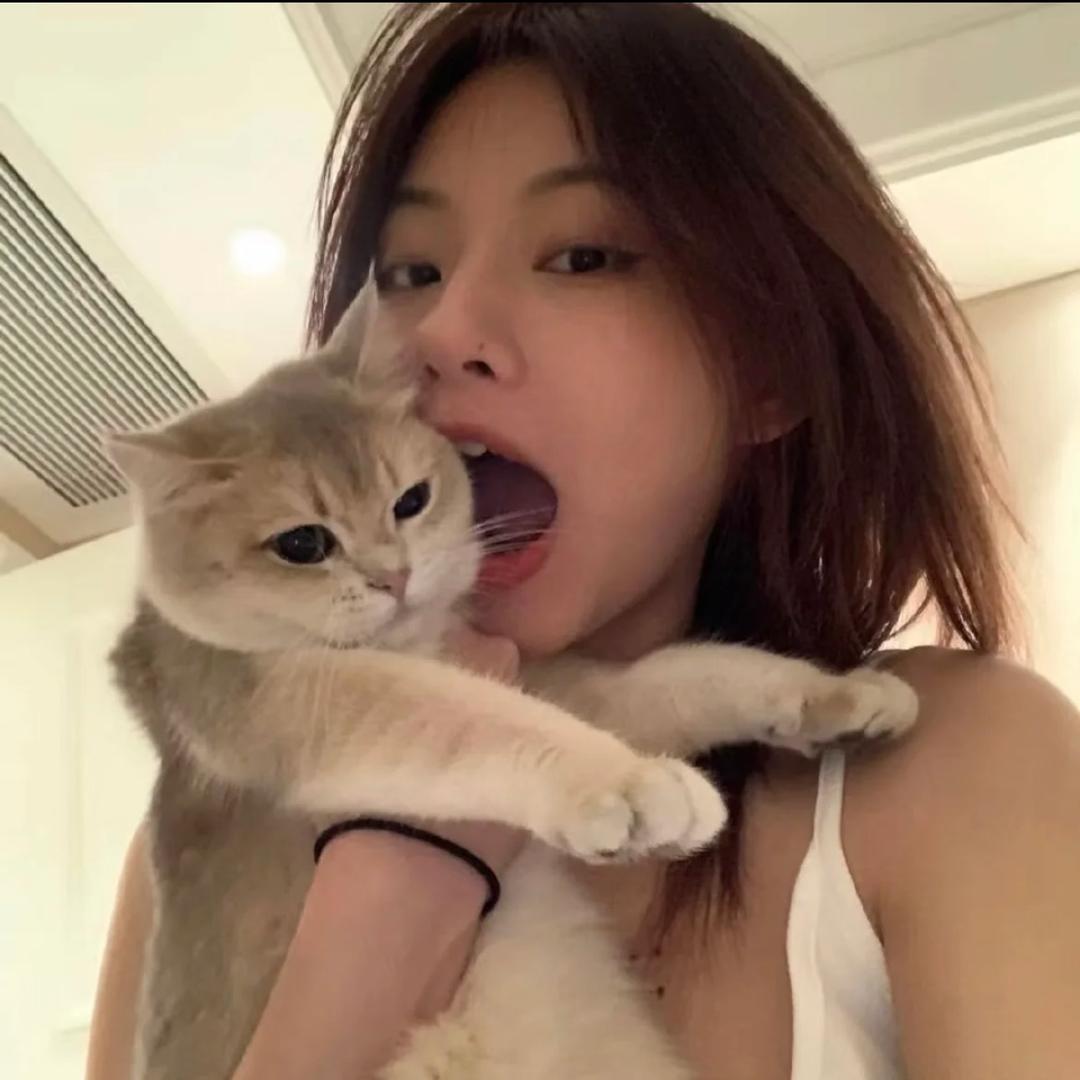 茶茶积分.