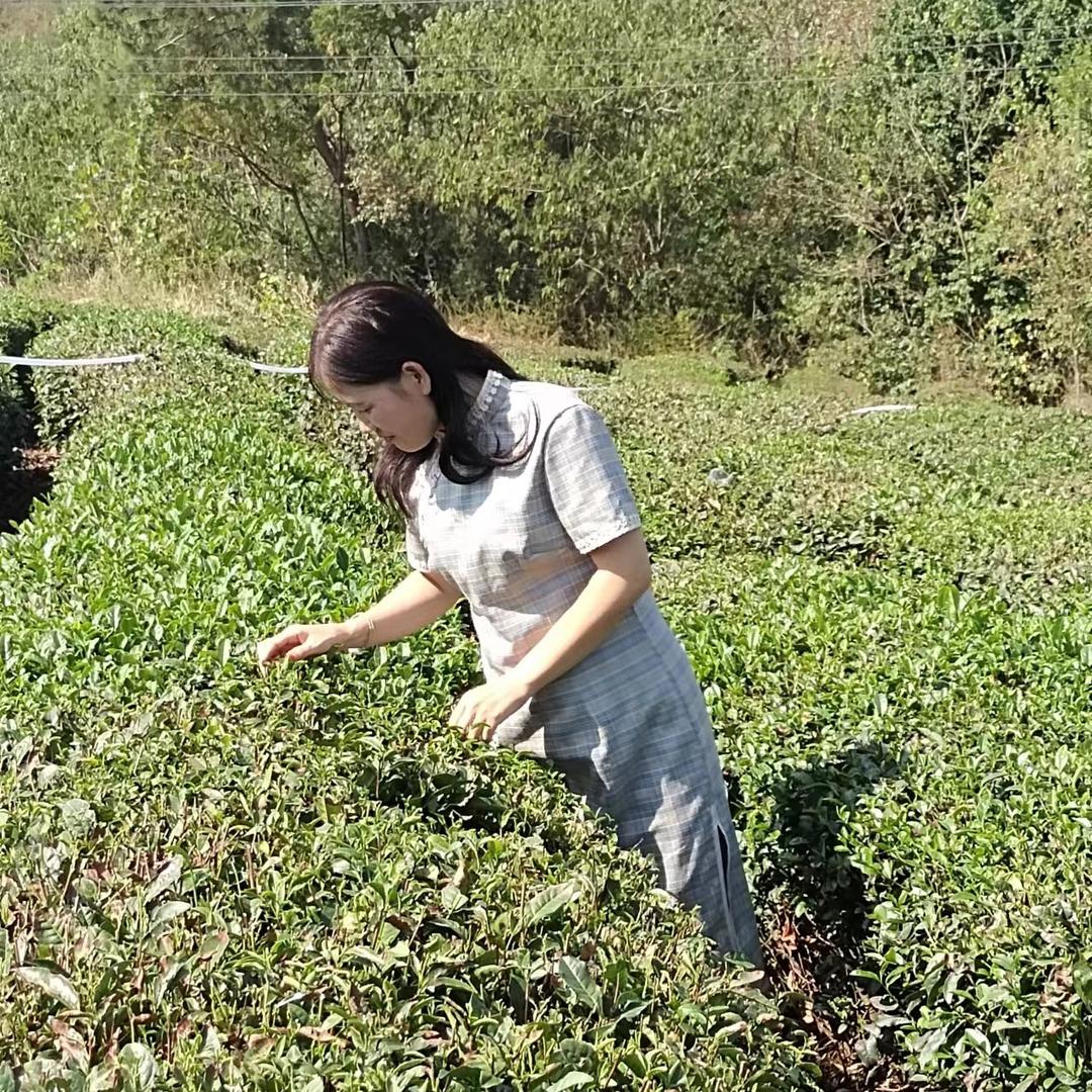 茶花女