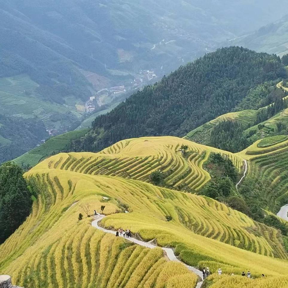 鑫宁手机（高价回收置换）