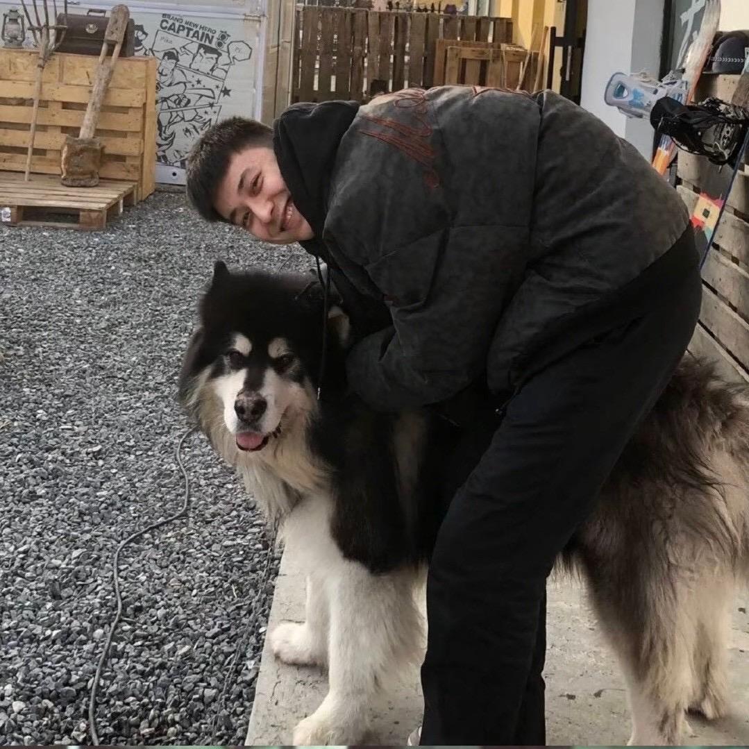 。。。。。。。