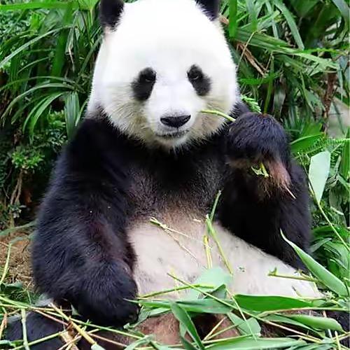 我是谁呢？