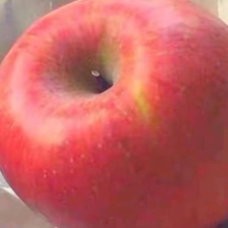 大瑶
