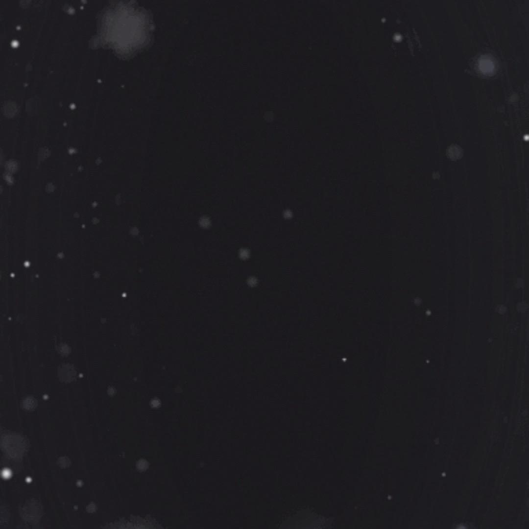 你笑起来真好看