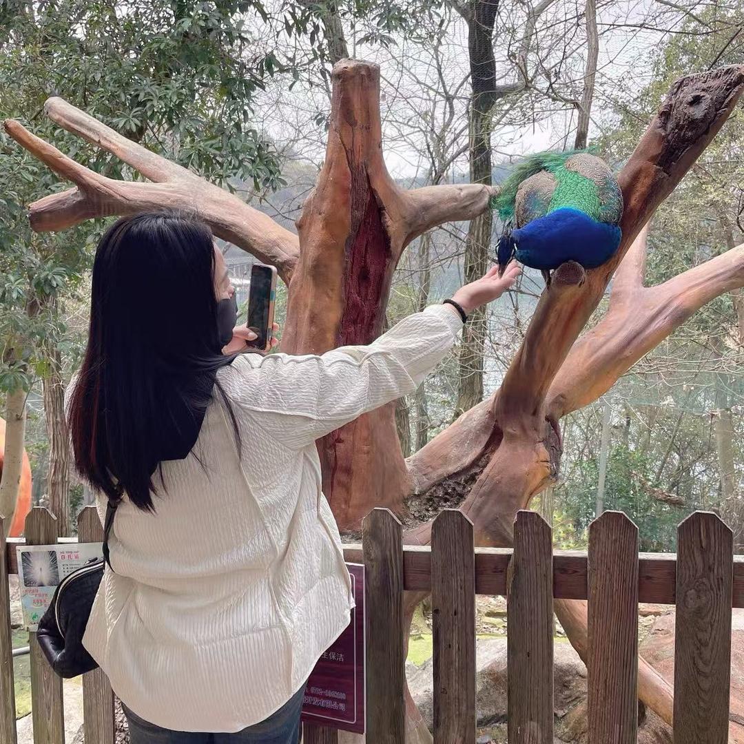 儿子的小名叫蒋金