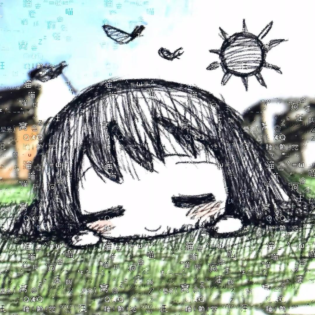 11宝