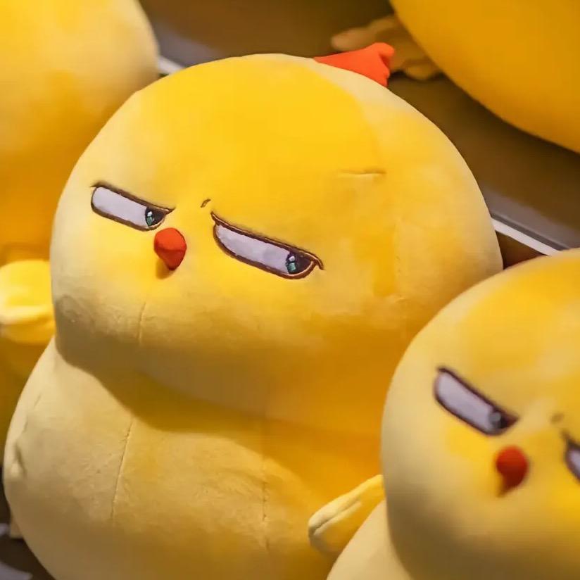 他二舅