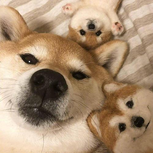 畅畅的小快乐。
