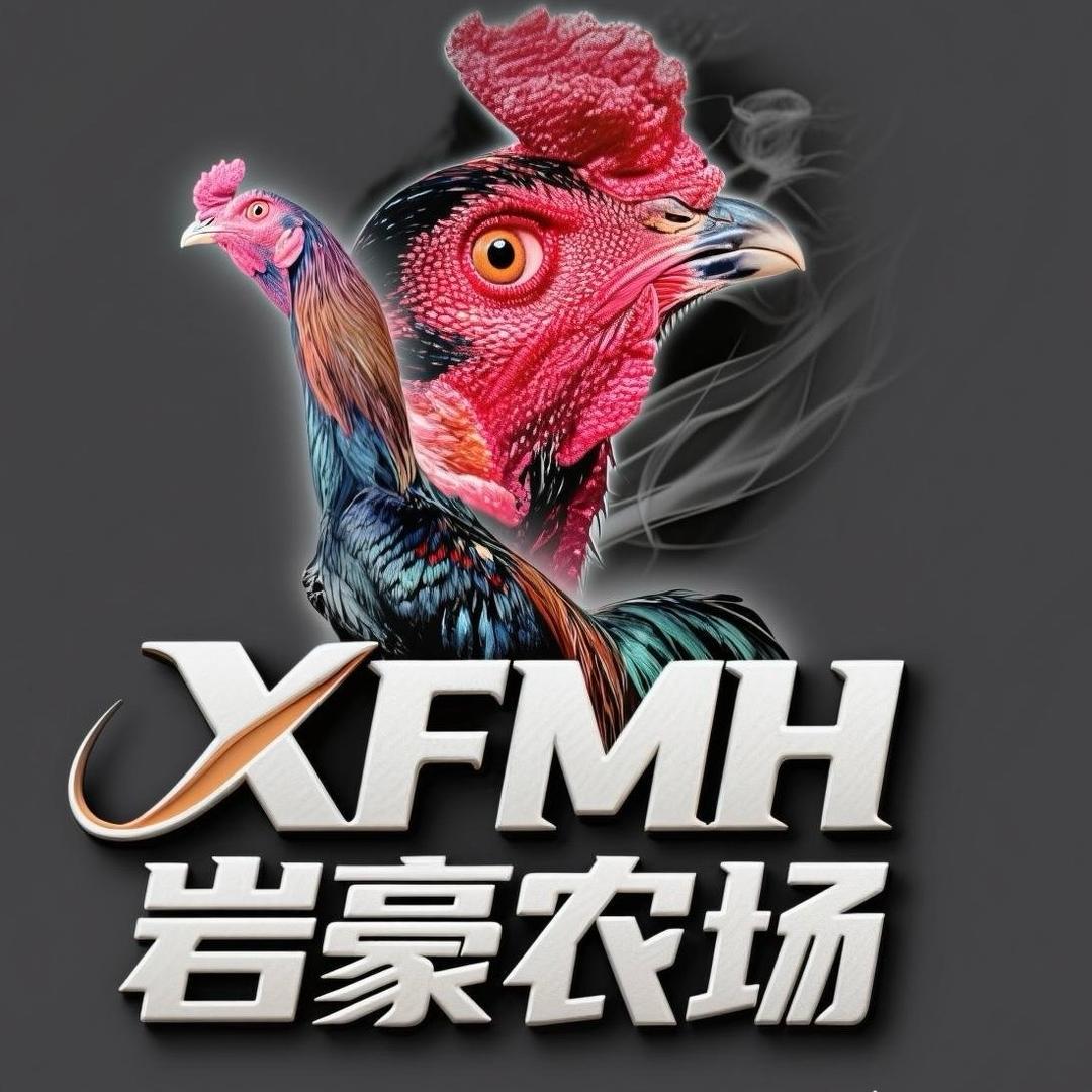 岩豪泰鸡养殖