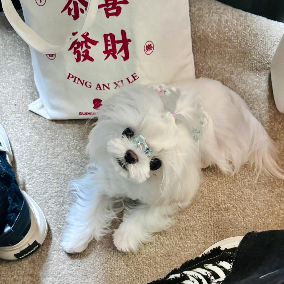 媄缘my