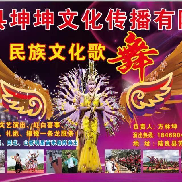 陆良坤坤演艺人生