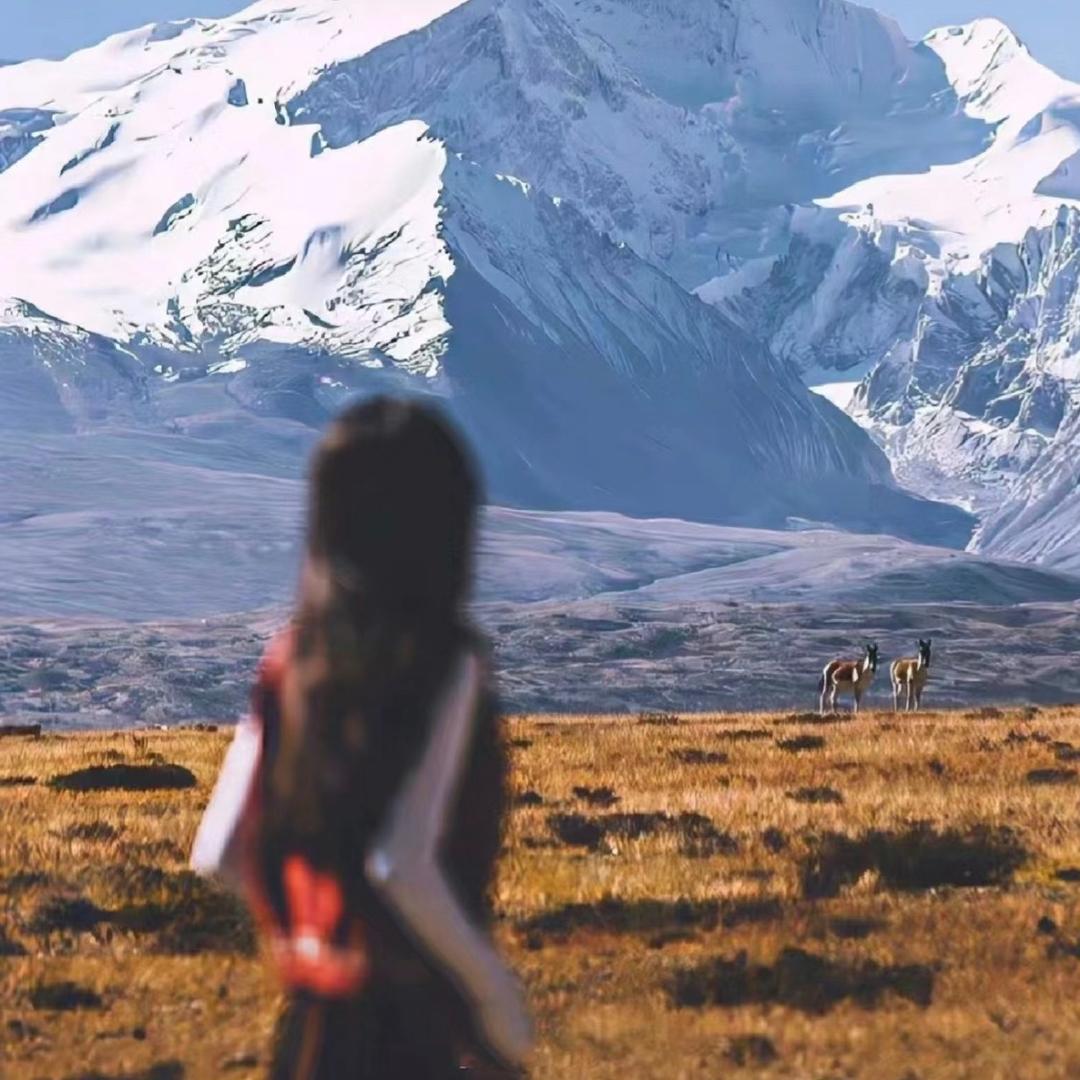 ALVA_小鸡🐥不吃蛋~