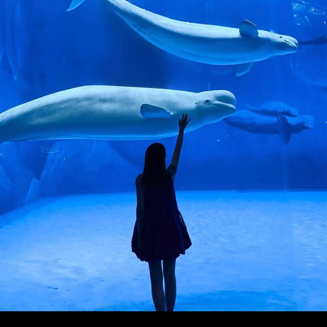 皮蛋瘦肉 周⁵¹¹