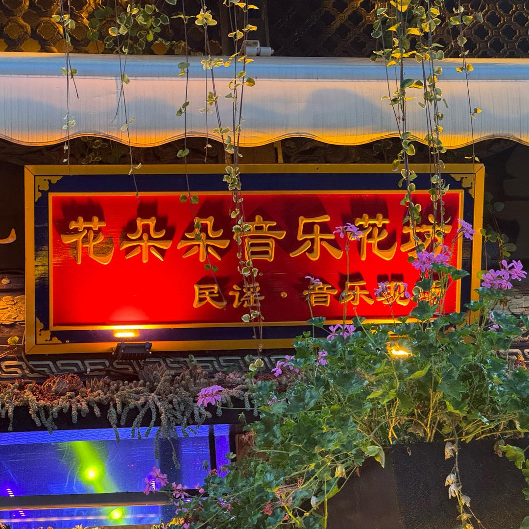 丽江古城花朵朵音乐现场