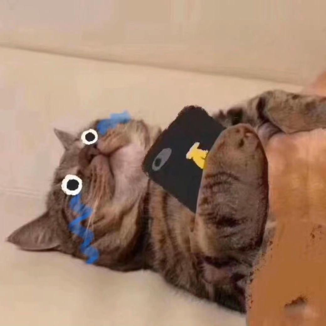 摆烂崽