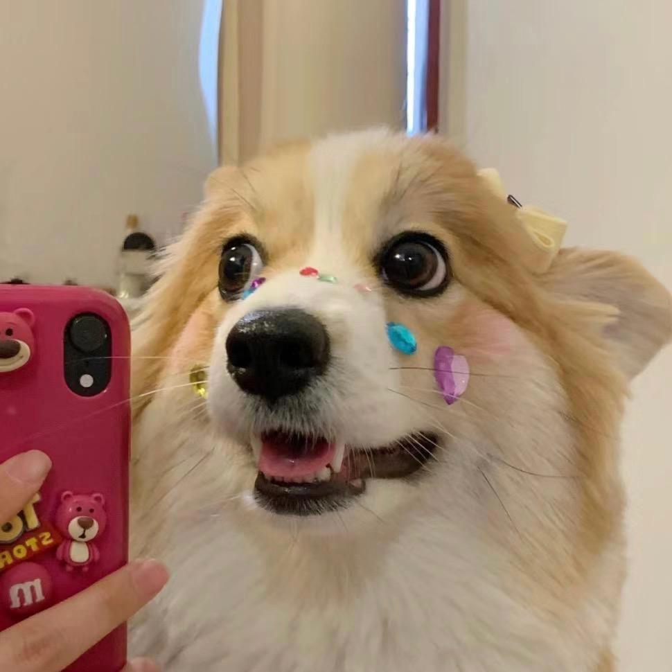 王哪去