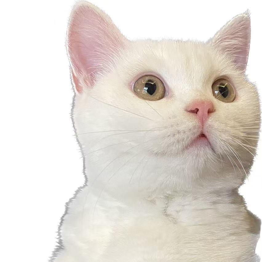 稳住