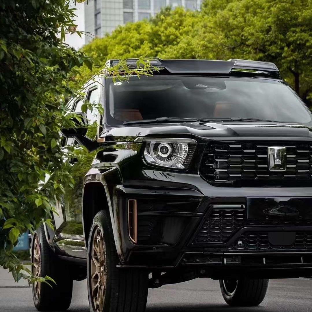 成都路易名车坊汽车服务有限公司