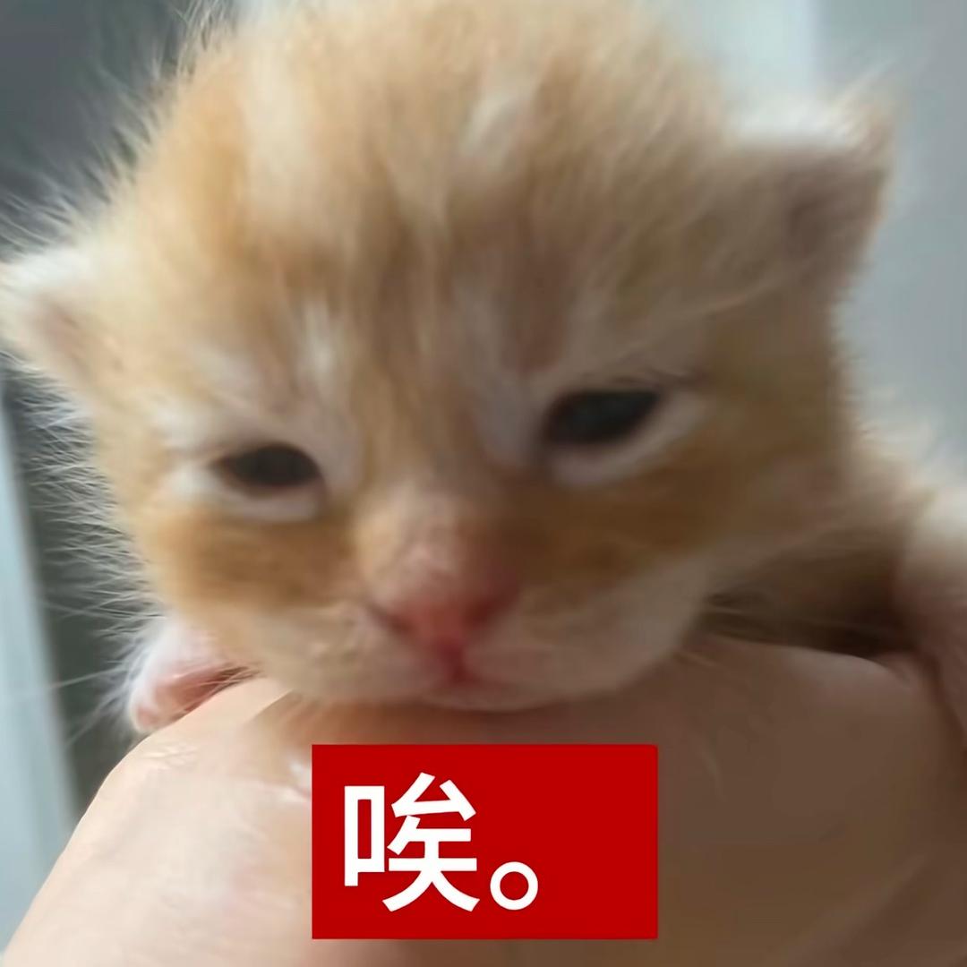 唉