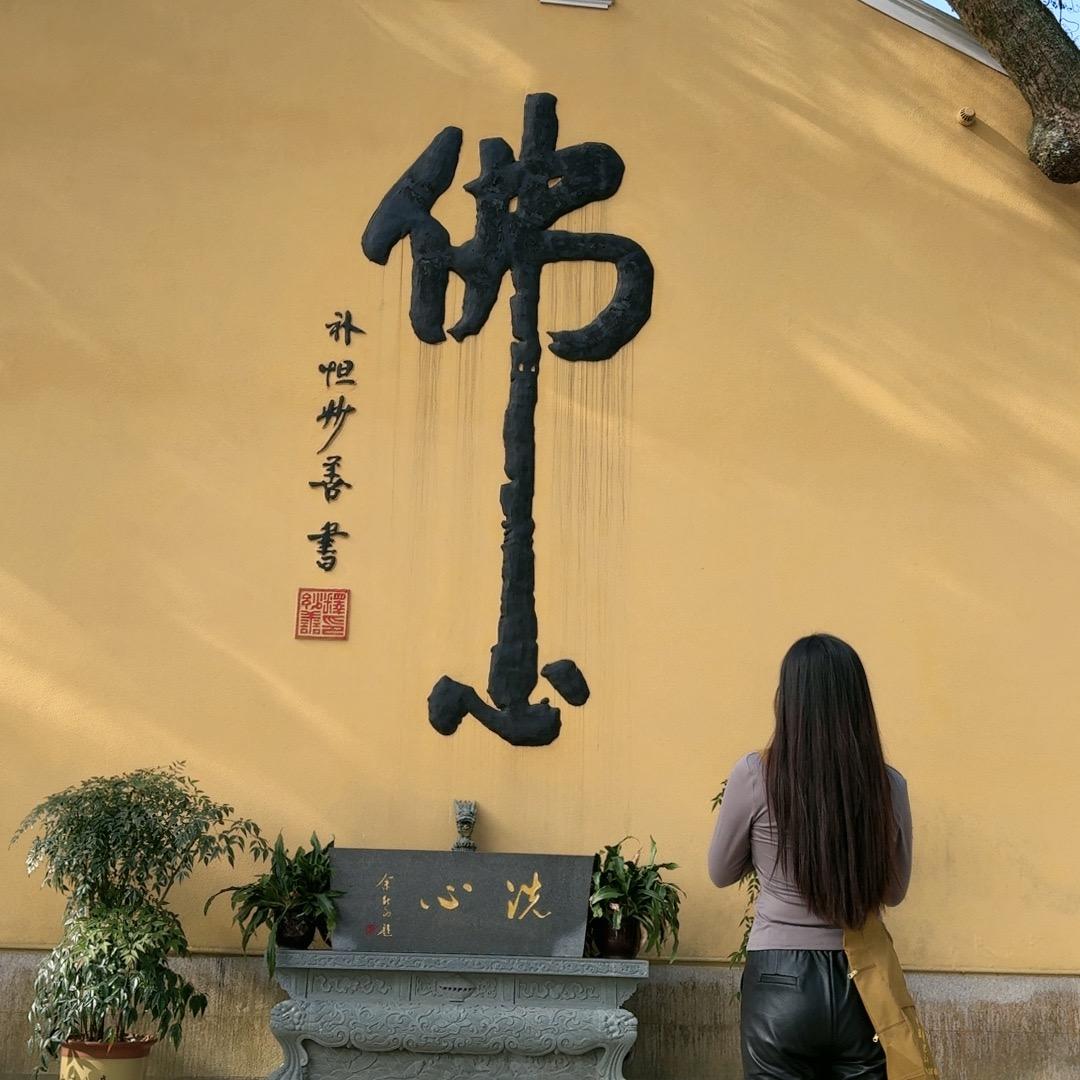 元合🐲