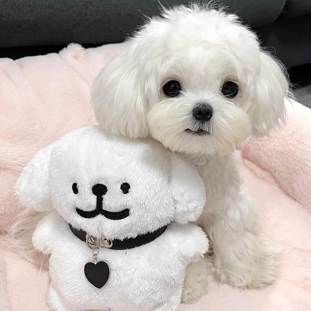 发财七七