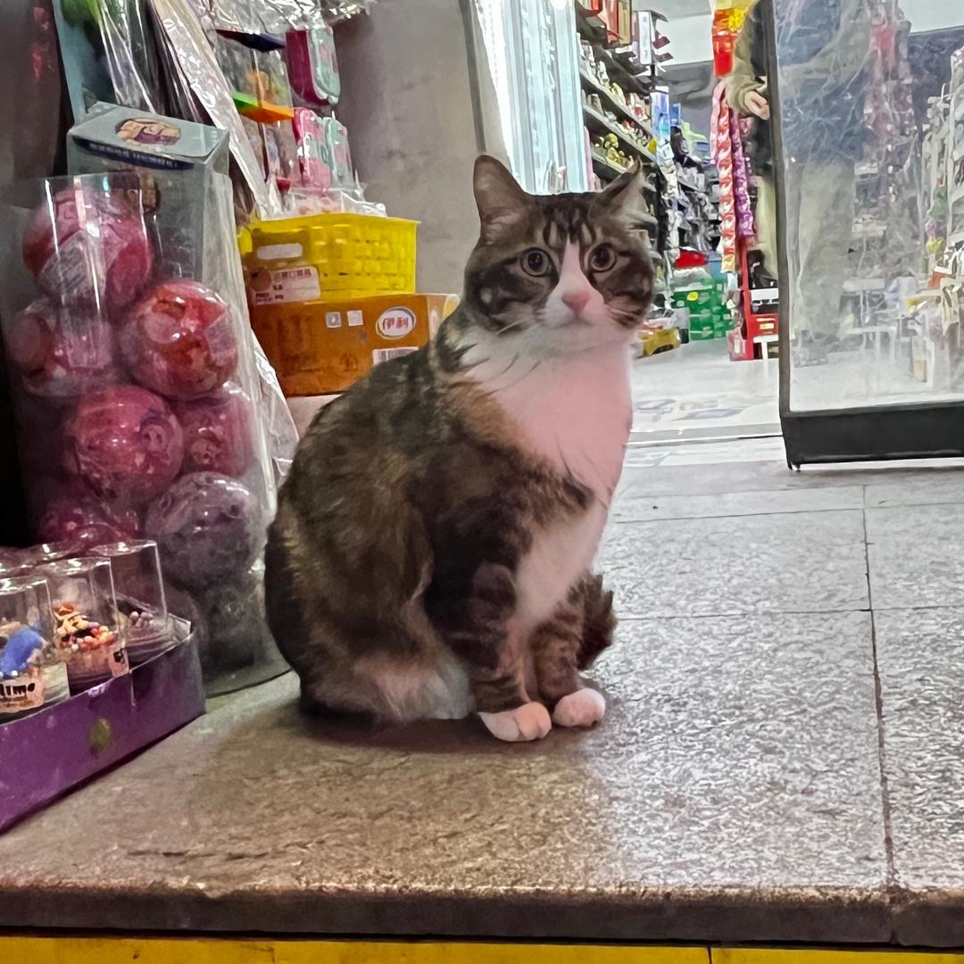 春儿~