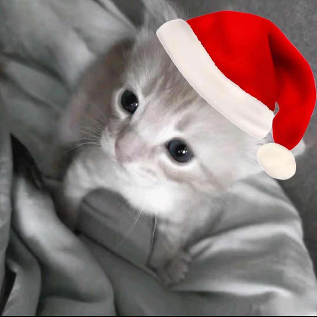 蛋挞大王（求推荐