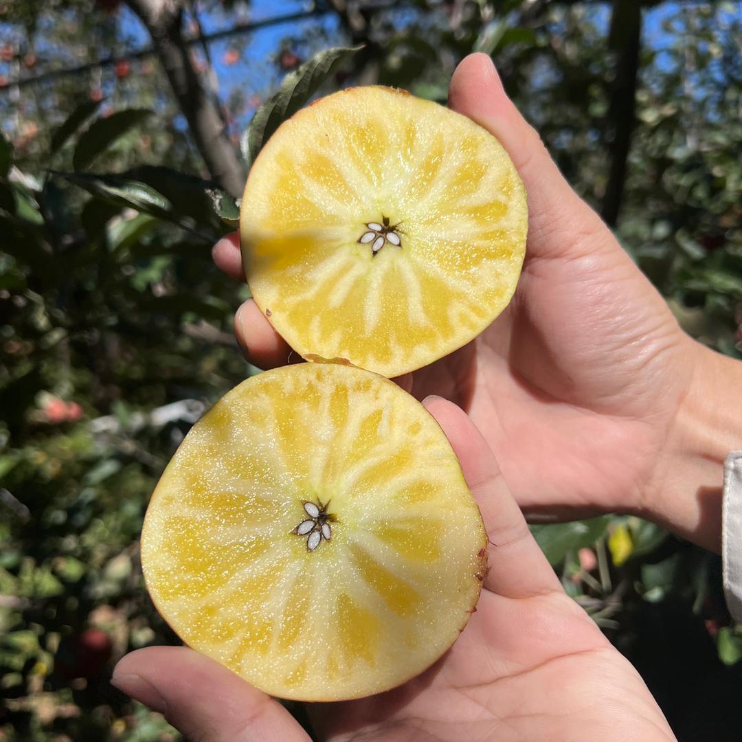 天蔚农特产（丑苹果，冰糖橙）