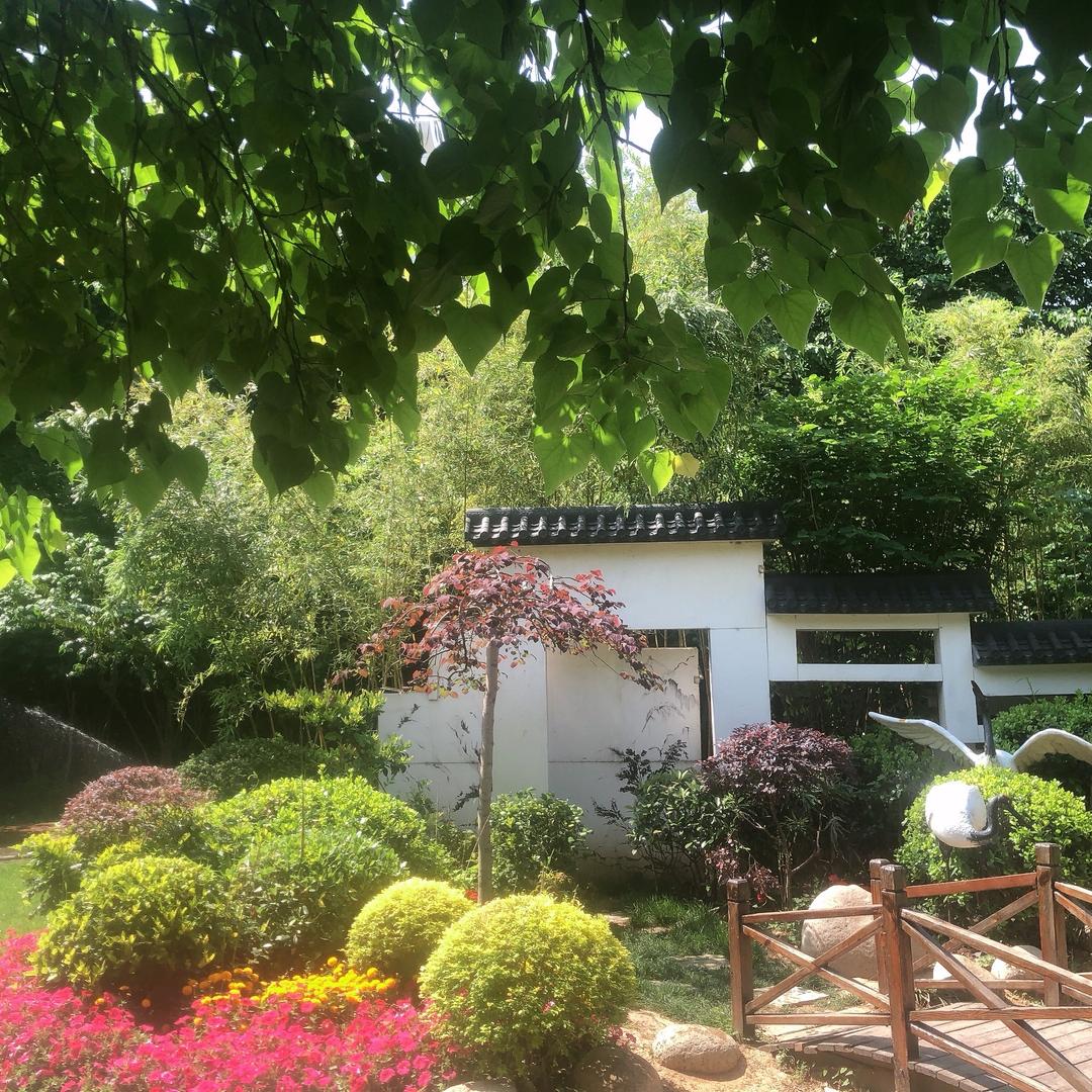 秋果教育-秦老师