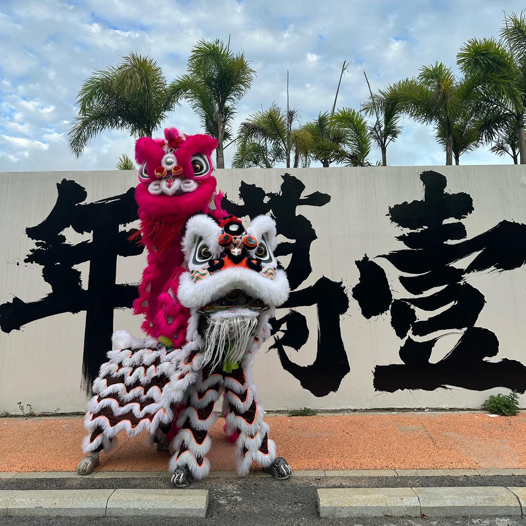 广西苍梧县千乘堂醒狮团🦁
