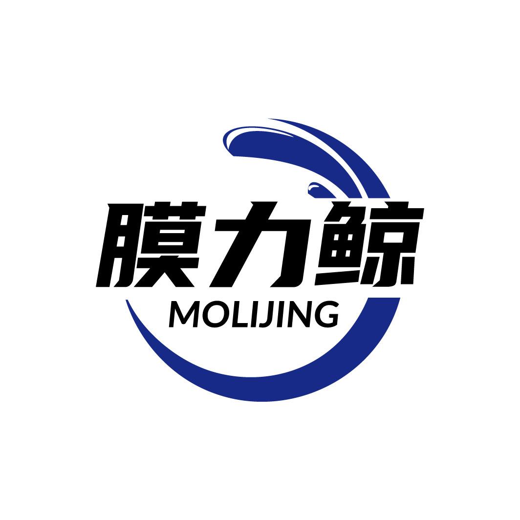 膜力鲸贴膜工厂（邹城店）