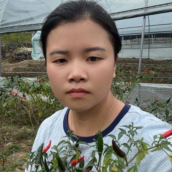 田园阿芳