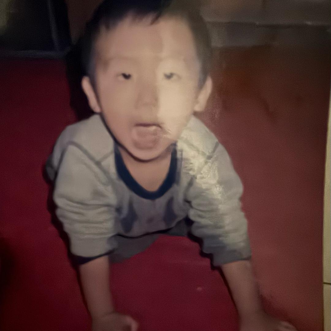 张树