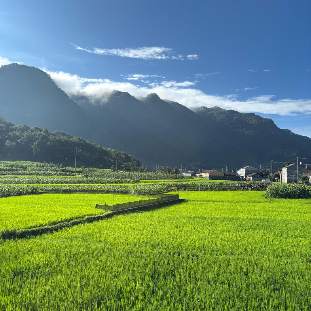 中缅小陈农品坊