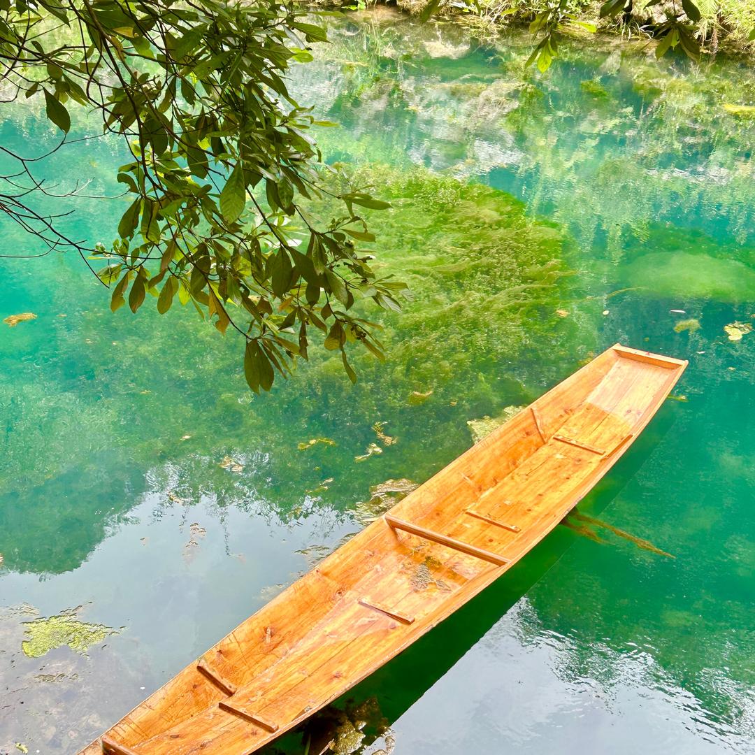杨梅吐气