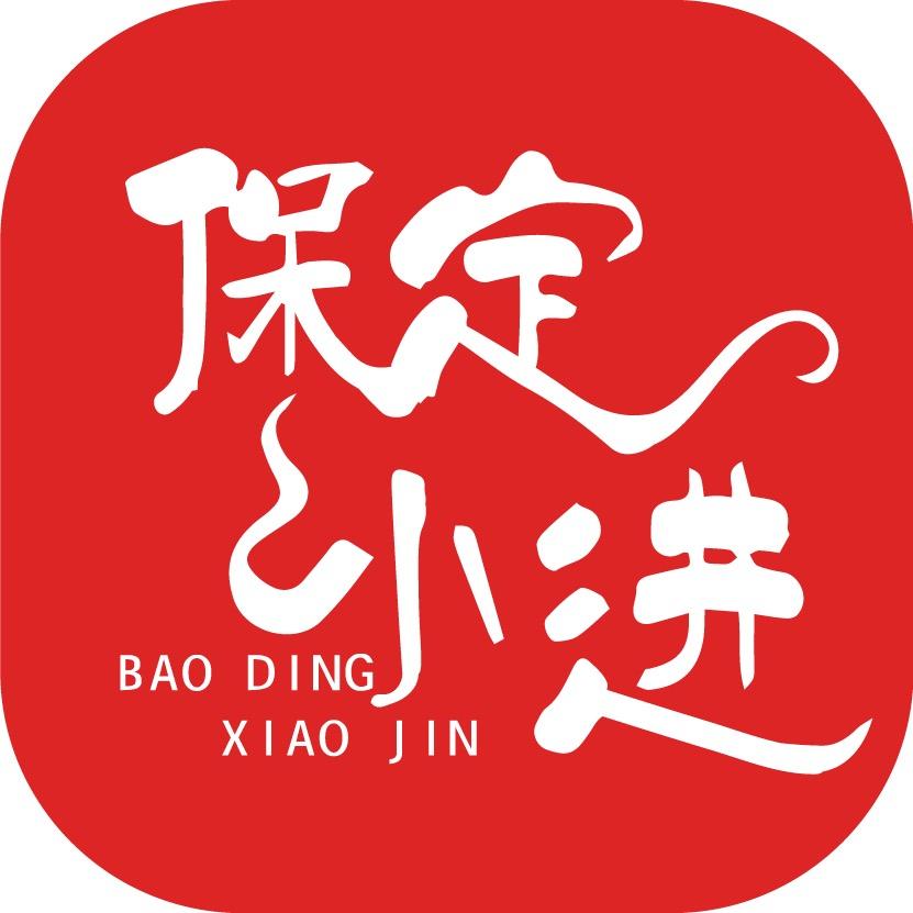 保定小进