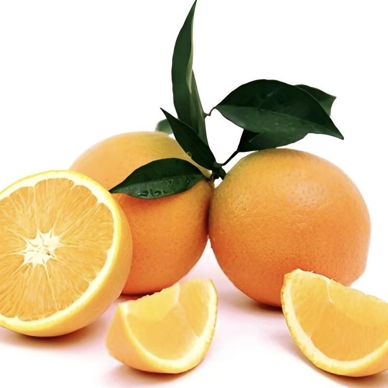 奉节白哥脐橙生态基地