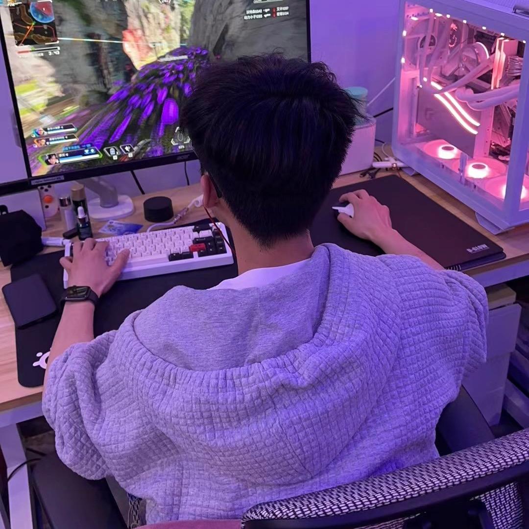 北游复南归