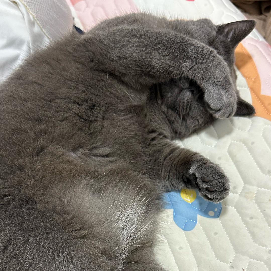 嘻嘻。（🍺