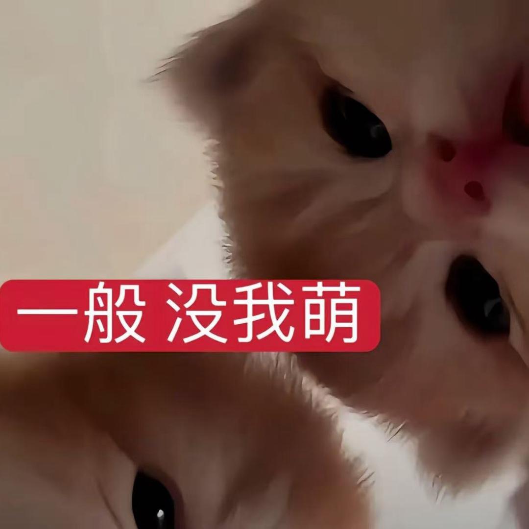 不乖还很坏，