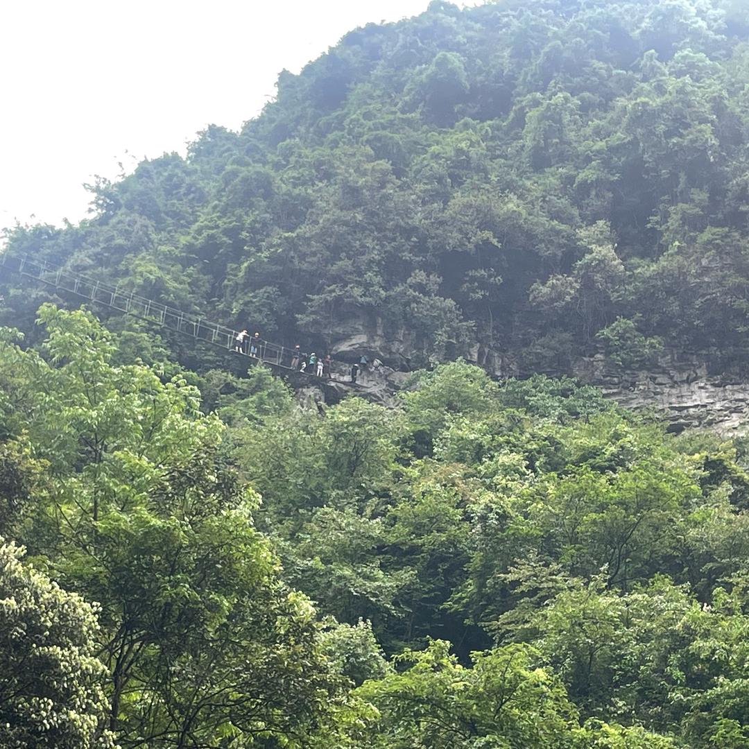 心开脉解 劳身不劳心