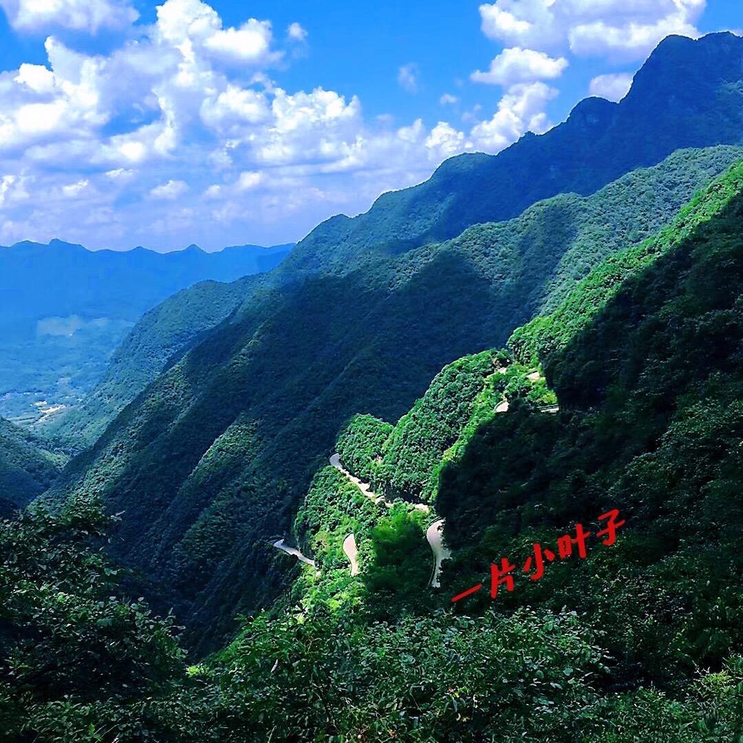 小露仔