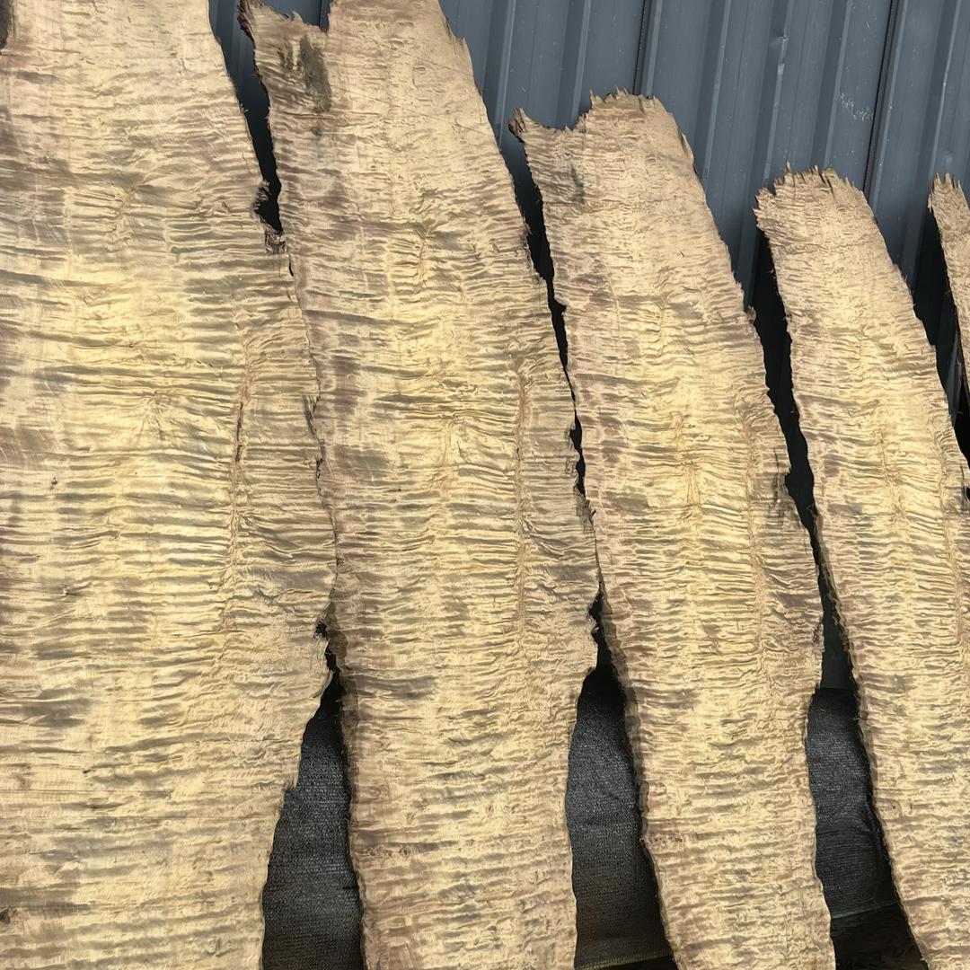 雅安揽胜金丝楠木