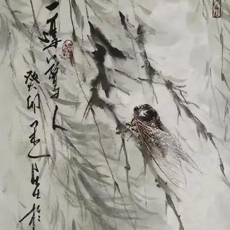 听风的蝉