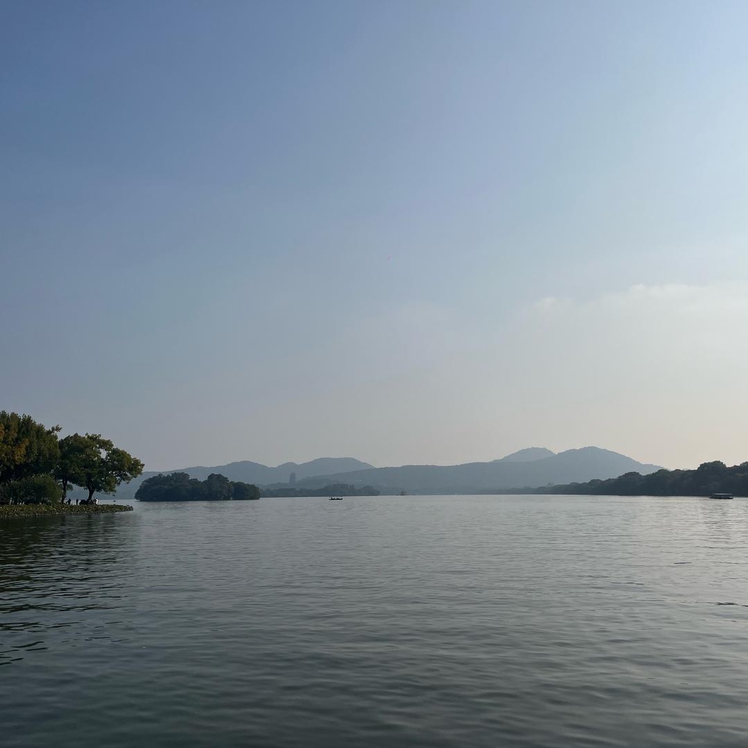 小强无才