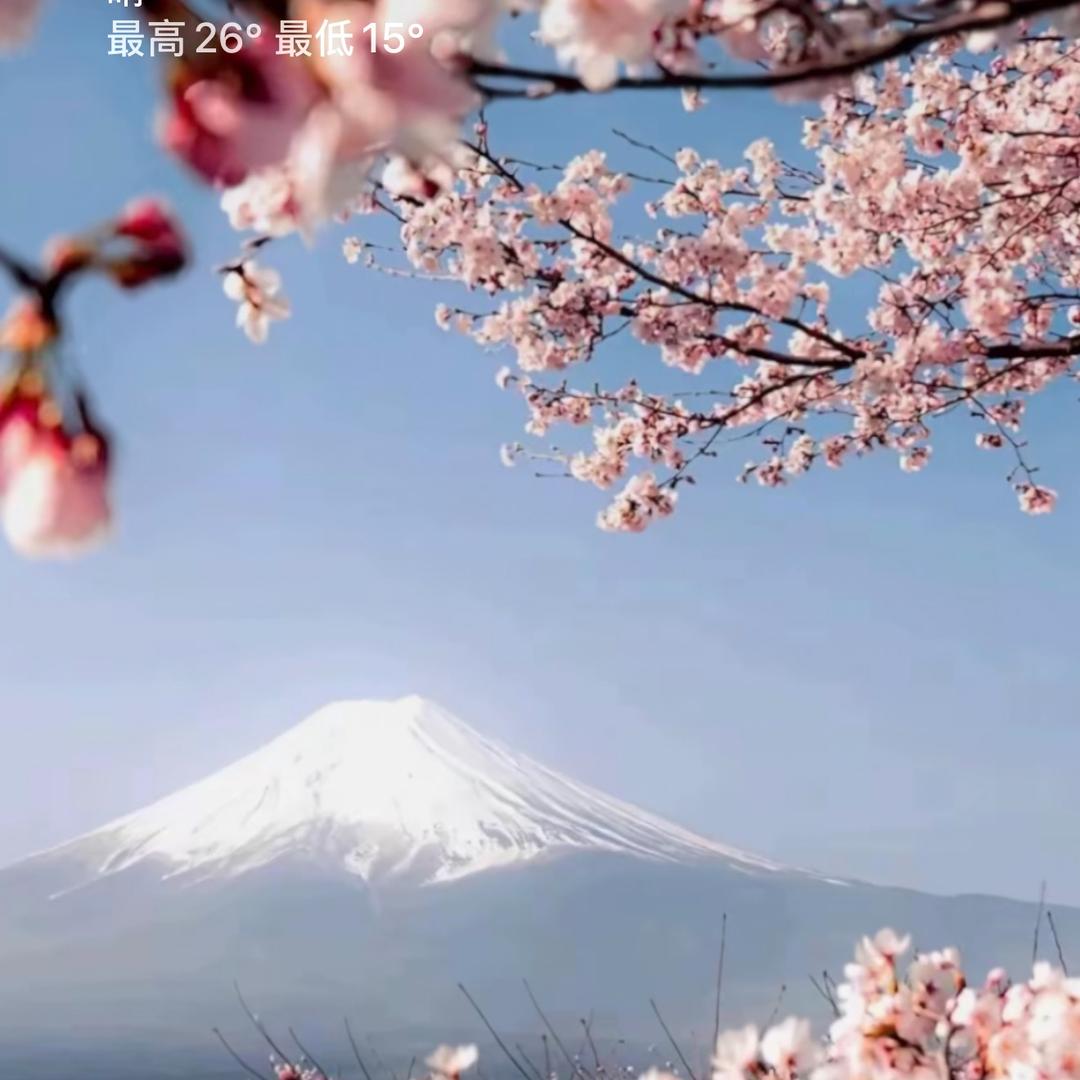 好运当头来花卉