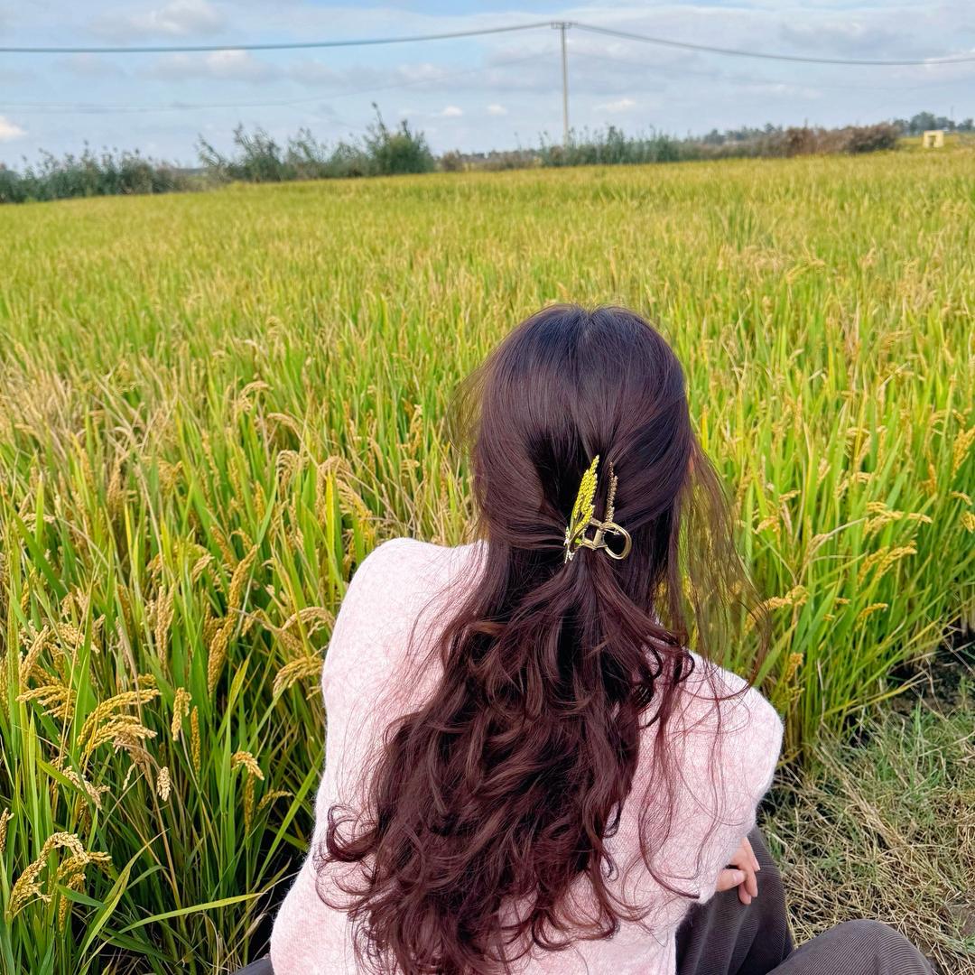 小王不吃土豆