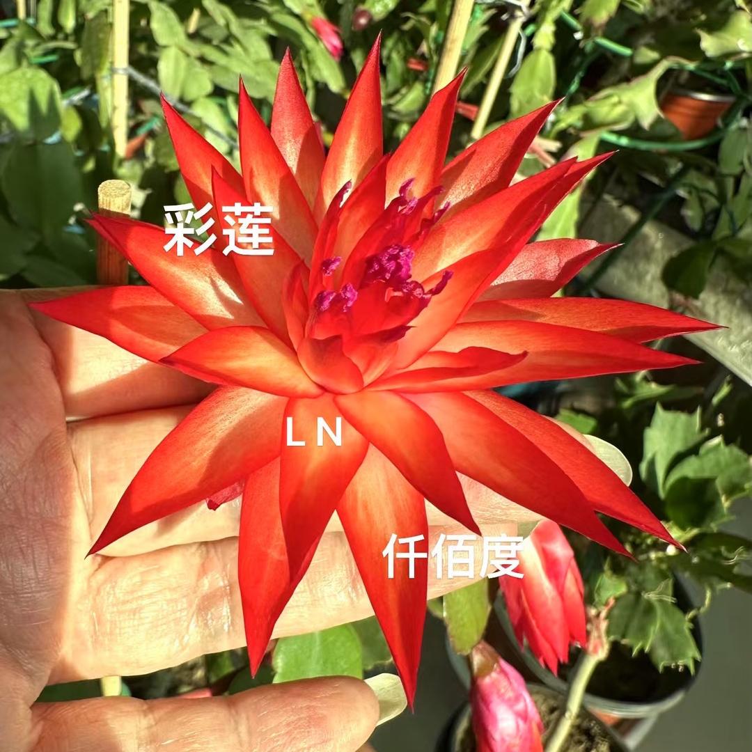 用户涿州 仟佰度