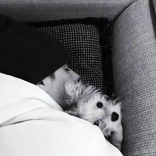 Morning