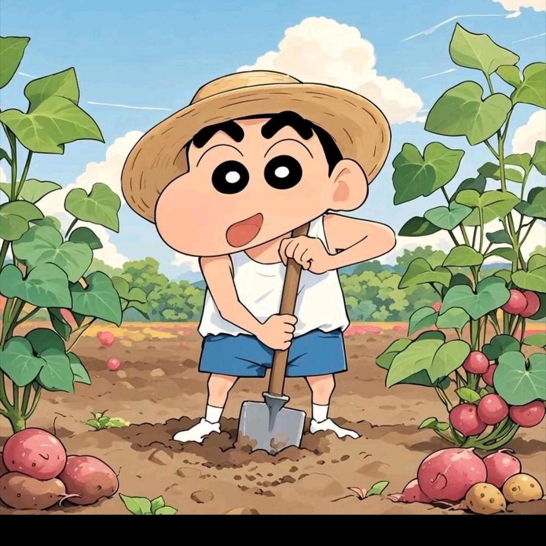 @玩农机的小余