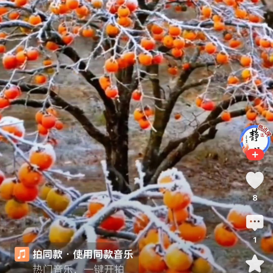 寒仕